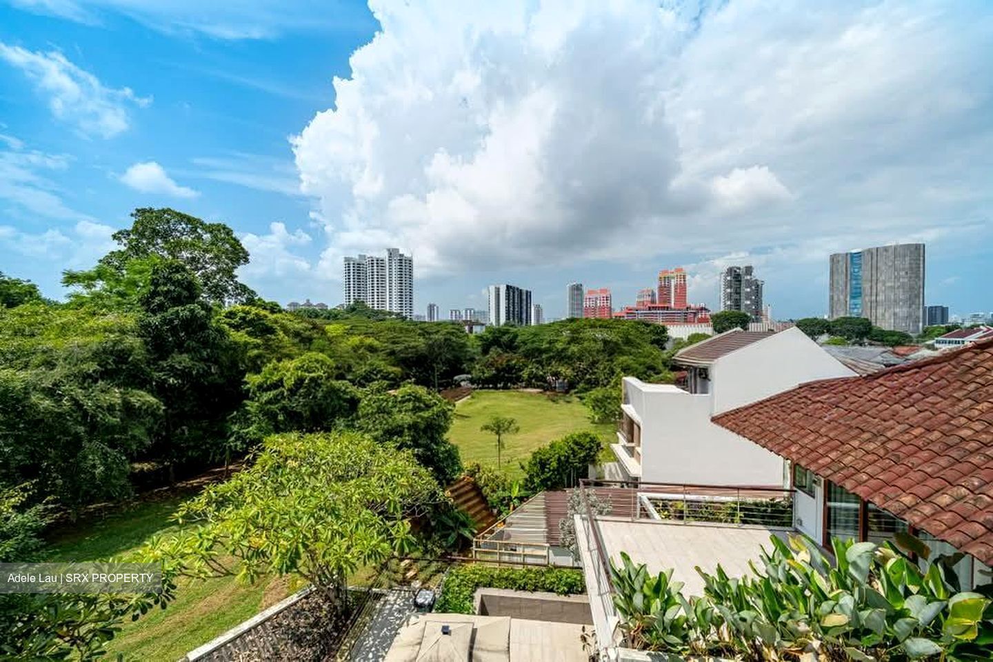 Windsor Park (D20), Terrace #597519921